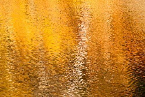 Abstract;Abstraction;Alabama;Autumn;Bronze;Brown;Calm;Copper;Fall;Fort Payne;Gold;Healing;Horizontal;Line;Little River;Little River Canyon National Preserve;Nature;Pastoral;Shape;Tan;United States;Warm Colors;Warm Palette;Warm Tones;Water;Waterscape;Yellow;color;metallic;oneness;orange;pattern;peaceful;reflection;reflections;restful;serene;soothing;tranquil;zen